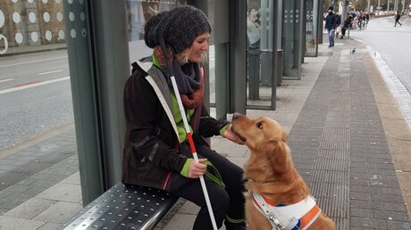 Franziska Voß bei der Ausbildung des zukünftigen Blindenführhunds Forrest (privat)