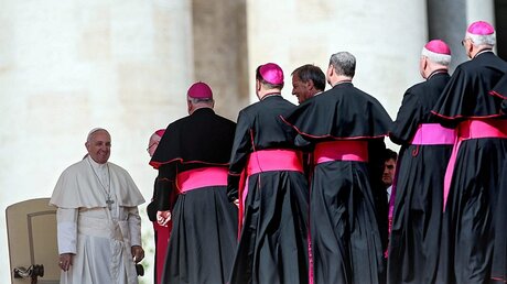Papst Franziskus empfängt Bischöfe / © Alessandro Di Meo (dpa)