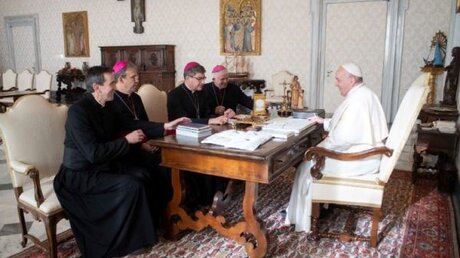 Französische Bischöfe bei Papst Franziskus (VN)