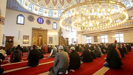 Freitagsgebet in der Merkez-Moschee in Duisburg (dpa)