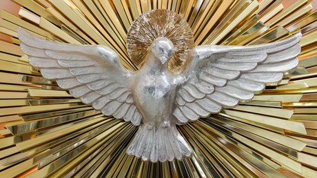 Friedenstaube, Darstellung des Heiligen Geistes, in der Herz-Jesu-Kathedrale in Skopje / © Harald Oppitz (KNA)