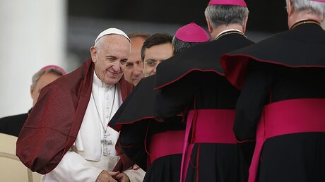 Papst Franziskus begrüßt Bischöfe / © Paul Haring (KNA)