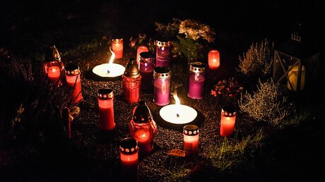 Grablichter auf dem Friedhof / © Julia Steinbrecht (KNA)