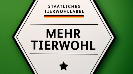 Das neue staatliche Label für mehr Tierwohl. / © Ralf Hirschberger (dpa)