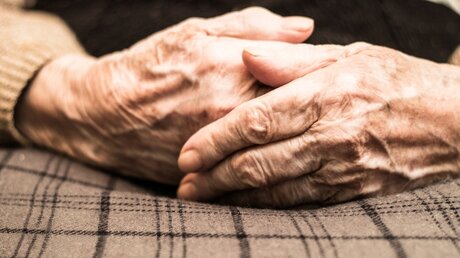 Hände einer alten Frau / © sanjagrujic (shutterstock)