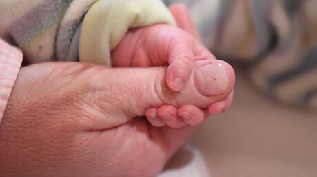 Hebamme mit Neugeborenem / © Uli Deck (dpa)