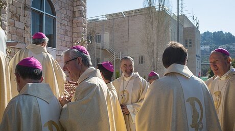 Die Bischöfe bei Amman (Mitte: Weihbischof Renz) / © Andrea Krogmann (KNA)
