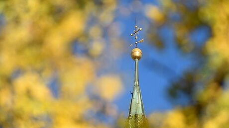 Kirchturm mit Blättern / © Felix Kästle (dpa)