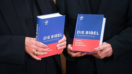 Neue Einheitsübersetzung der Bibel / © Arne Dedert (dpa)