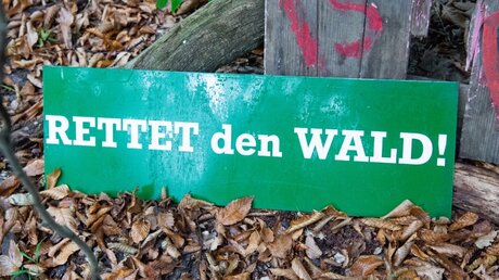 Im Hambacher Forst liegt ein Schild mit der Aufschrift "Rettet den Wald" / © Christophe Gateau (dpa)