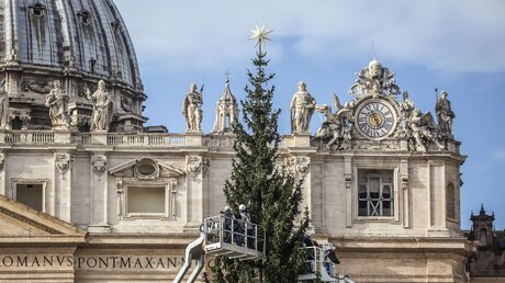 Arbeiter schmücken einen Weihnachtsbaum mit Lichterketten auf dem Petersplatz vor dem Petersdom (Archiv) / © Stefano Dal Pozzolo/Romano Siciliani (KNA)