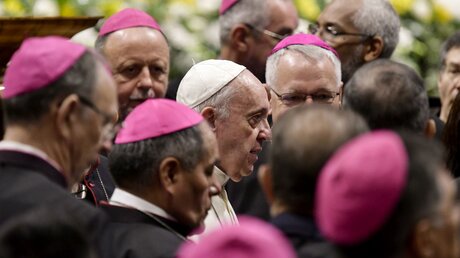 Papst Franziskus mit Bischöfen / © Vatican Media/Romano Siciliani (KNA)