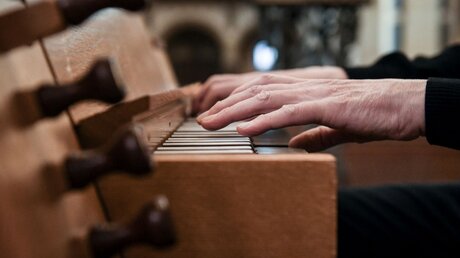 Ein Mann spielt Orgel / © Julia Steinbrecht (KNA)