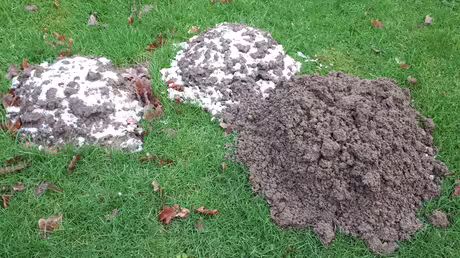 Ein Besucher im Garten / &copy; Sr. Emmanuela (privat)