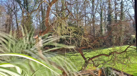 Endlich Sonne! / &copy; Sr. Emmanuela (privat)