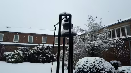 Wei&szlig;e Pracht / &copy; Sr. Emmanuela (privat)