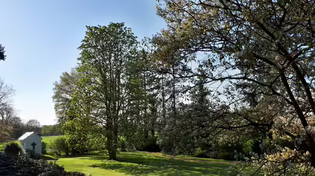 Der Sommer kann kommen / &copy; Sr. Emmanuela (privat)
