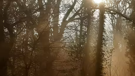 Klarheit gewinnen: Wie geht es weiter mit der Neugr&uuml;ndung? / &copy; Sr. Emmanuela Kohlhaas (privat)