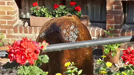 Quelle im Kloster Angermund / &copy; Sr. Emmanuela Kohlhaas (privat)