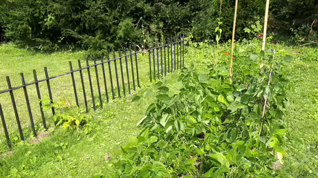 Kr&auml;utergarten / &copy; Sr. Emmanuela (privat)