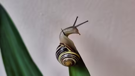 Die Gipfelst&uuml;rmerin / &copy; Sr. Emmanuela (privat)