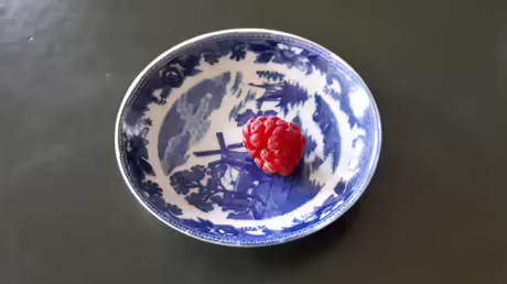 Die erste Himbeere / &copy; Sr. Emmanuela (privat)