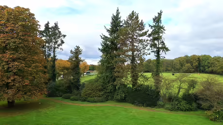 Der Herbst ist da! / &copy; Sr. Emmanuela (privat)