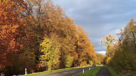 Herbst in Angermund / &copy; Sr. Emmanuela (privat)