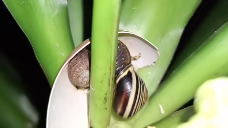 Coco, Baby und Oscar... / &copy; Sr. Emmanuela (privat)