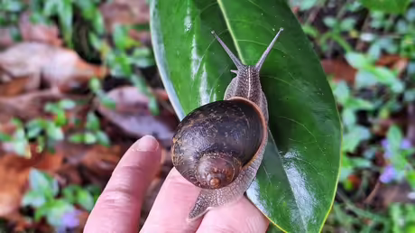 Auf in die Freiheit / &copy; Sr. Emmanuela (privat)