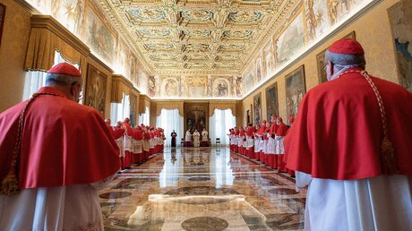  Konsistorium mit Papst Franziskus
 / © Vatican Media/Romano Siciliani (KNA)