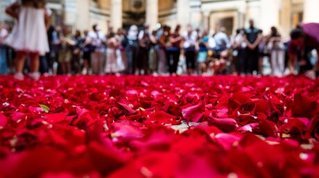 Bedeckter Boden mit Rosenblättern an Pfingsten im Pantheon in Rom / © Cristian Gennari/Romano Siciliani (KNA)