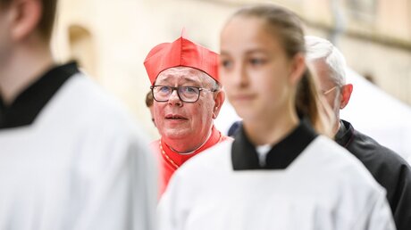 Kardinal Jean-Claude Hollerich / © Julia Steinbrecht (KNA)