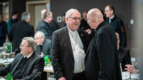 Beginn der Beratungen bei der Frühjahrsvollversammlung der Deutschen Bischofskonferenz in Dresden / © Dominik Wolf (KNA)
