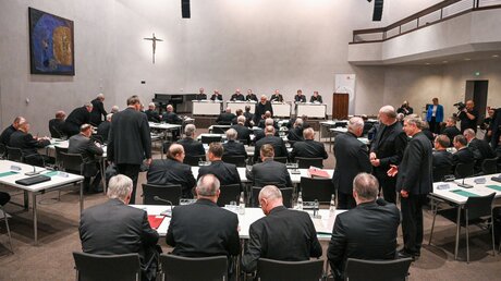 Bischöfe im Sitzungssaal bei der Frühjahrsvollversammlung Deutschen Bischofskonferenz in Augsburg / © Harald Oppitz (KNA)