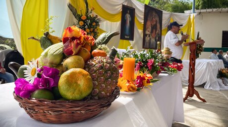 Ein Korb mit Früchten für eine Erntedank-Messe der katholischen Landpastoral in Pasto (Kolumbien) am 1. Februar 2024 in La Unión (Kolumbien). / © Alexander Brüggemann (KNA)