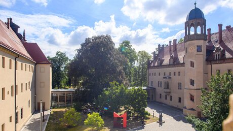 Eine Rote Skulptur, die aus den Buchstaben L und M gebildet ist und für den Namen Luther Museen steht, ist im Hof des Lutherhauses im Schatten von Bäumen zu sehen. / © Klaus-Dietmar Gabbert (dpa)