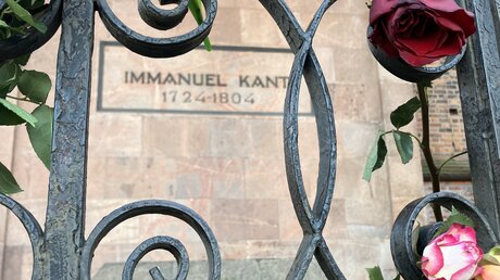 Blumen schmücken nach wie vor die Grabstelle von Immanuel Kant / © Andre Ballin (dpa)