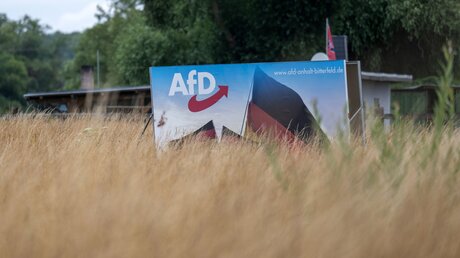 Symbolbild AfD Wahlplakat / © Hendrik Schmidt (dpa)