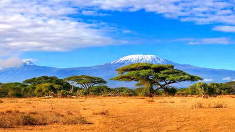 Blick auf den Kilimanjaro in Tansania / © Paul Hampton (shutterstock)