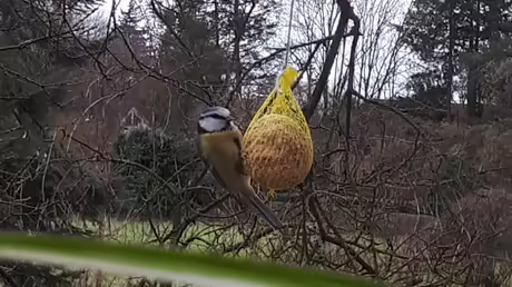 Am Fenster zum Refektorium / &copy; Sr. Emmanuela (privat)