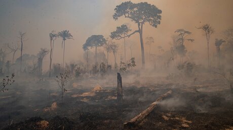 Rauch steigt während eines Brandes im Amazonas-Gebiet auf / © Andre Penner (dpa)