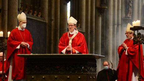 Rainer Maria Kardinal Woelki im Pontifikalamt an Palmsonntag / © Beatrice Tomasetti (DR)