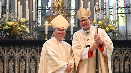 Rainer Maria Kardinal Woelki und Erzbischof Tarcisio Isao Kikuchi SVD / © Beatrice Tomasetti (DR)