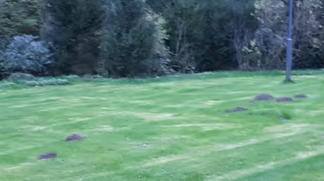 Die H&uuml;gel der Maulwurfssippe / &copy; Sr. Emmanuela Kohlhaas (privat)