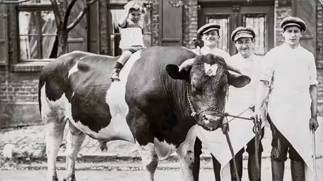 1913 in Herzebrock: Der dreij&auml;hrige Walter Brill auf einem Stier &ndash; neben ihm drei Mitarbeiter der Schlachterei des Vaters Hugo Brill. / &copy; J&uuml;disches Museum, Berlin
