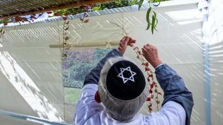 Mitglieder der jüdischen Gemeinde schmücken die traditionelle Laubhütte mit Zweigen und Früchten / © Jens Büttner/dpa-Zentralbild/ZB (dpa)