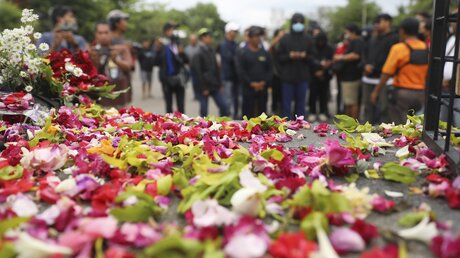  Indonesien, Malang: Blumen vor dem Kanjuruhan-Stadion, in dem es am Samstagabend zu einer Massenpanik kam / © Trisnadi/AP/ (dpa)