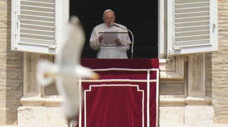 Mittagsgebet des Papstes an Pfingsten, eine Möwe fliegt vorbei / © Alessandra Tarantino (dpa)