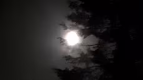 Vollmond &uuml;ber dem Kloster Angermund / &copy; Sr. Emmanuela Kohlhaas (privat)